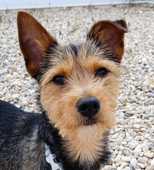 Coco